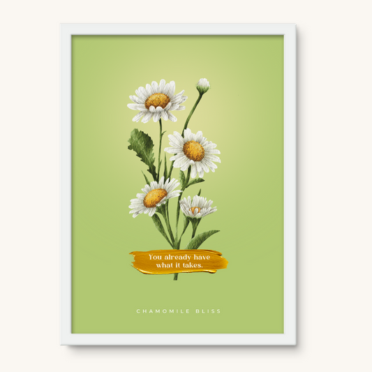 Chamomile Bliss - 005