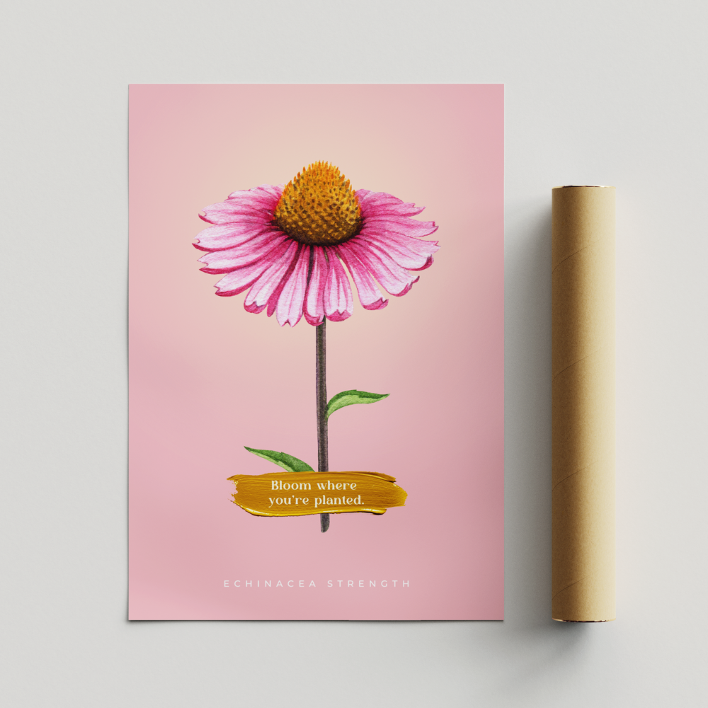 Echinacea Strength - 001
