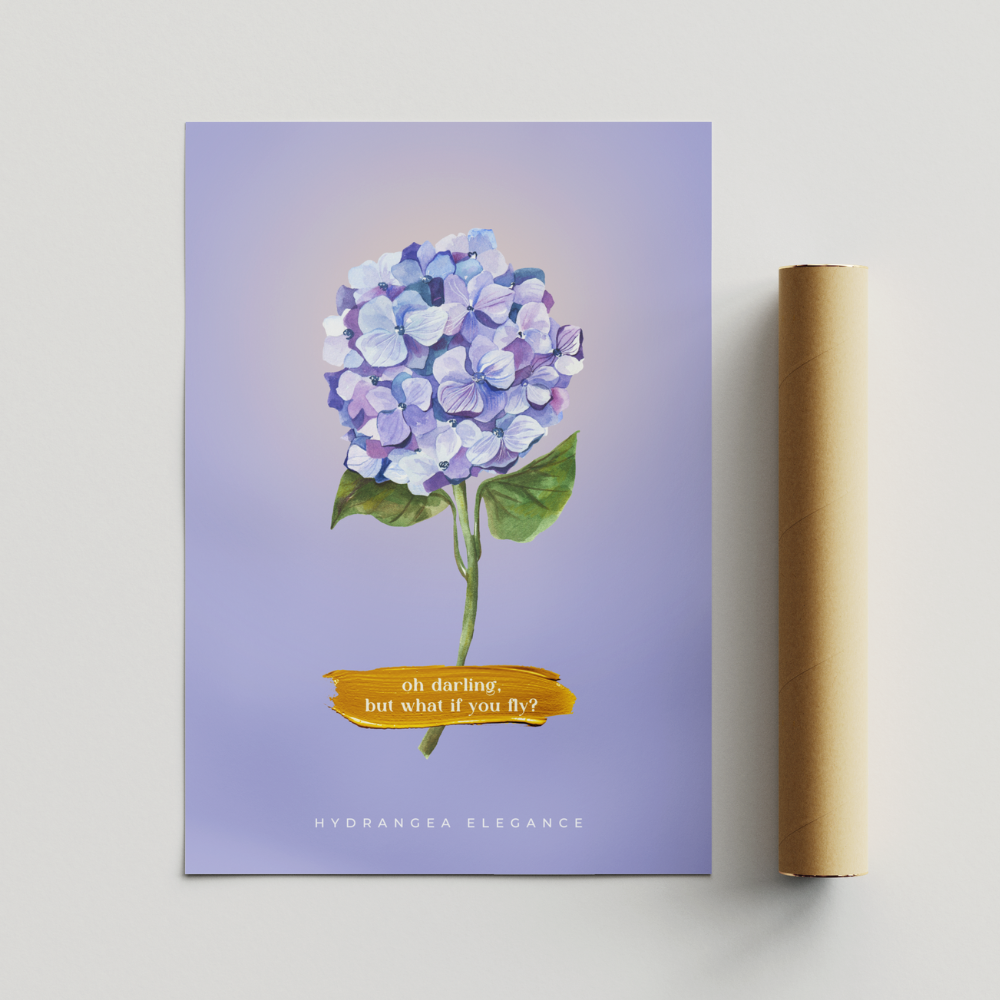 Hydrangea  Elegance - 003