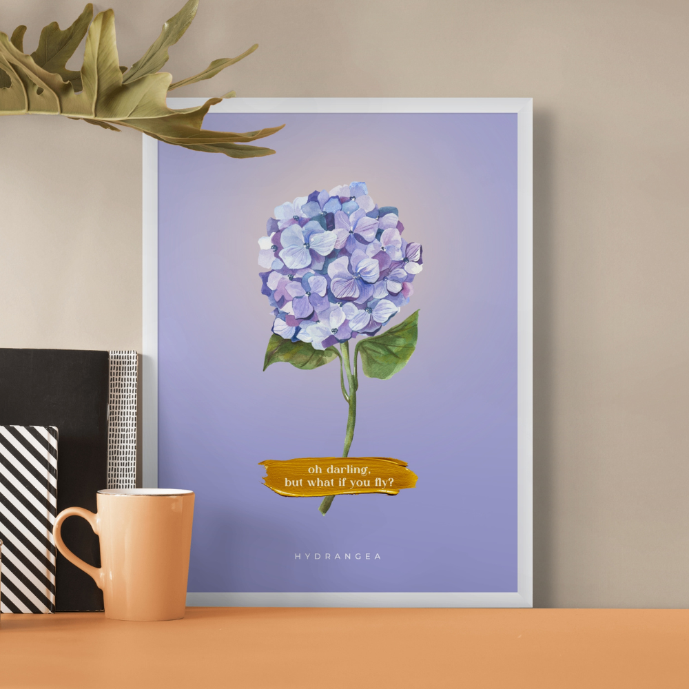 Hydrangea  Elegance - 003