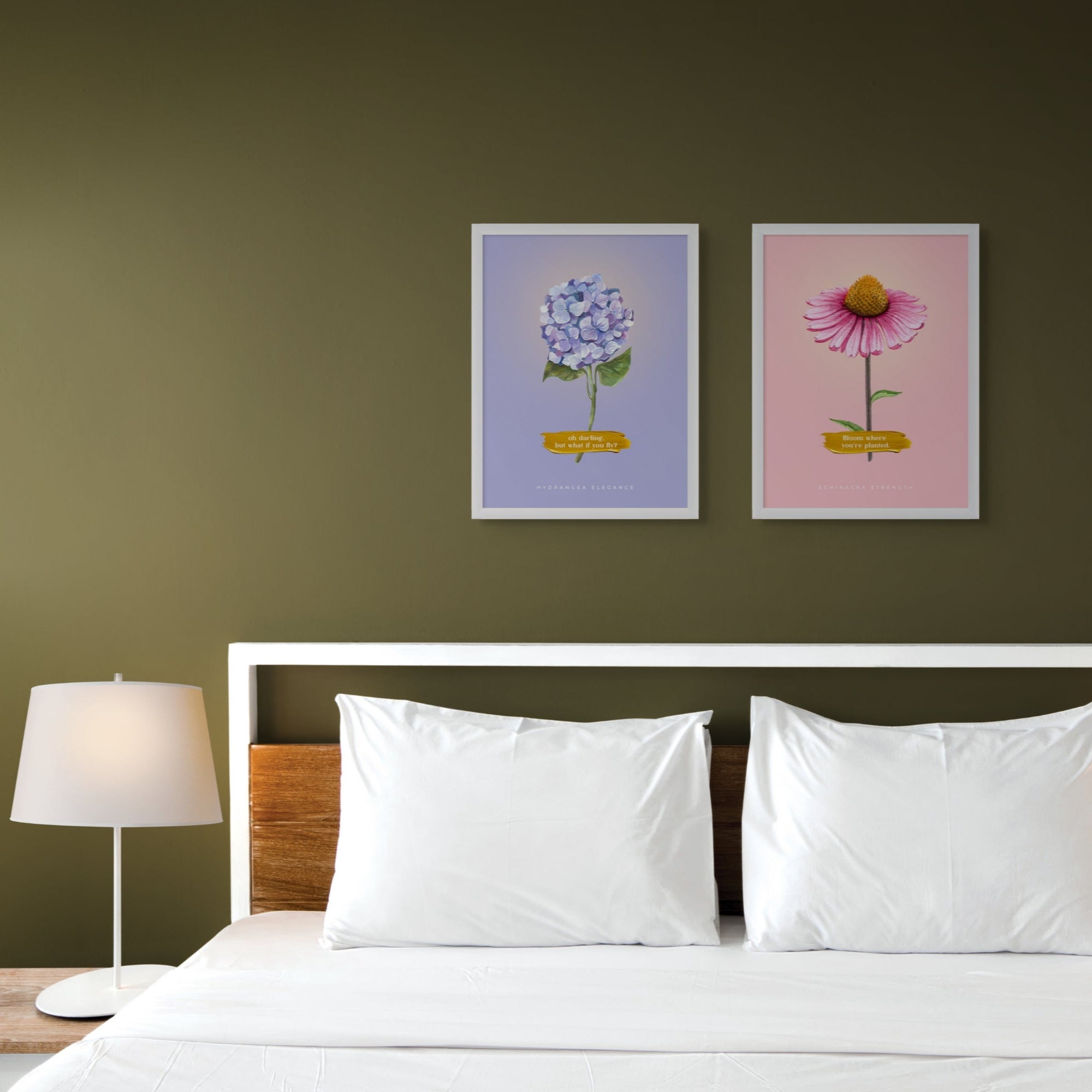 Hydrangea  Elegance - 003
