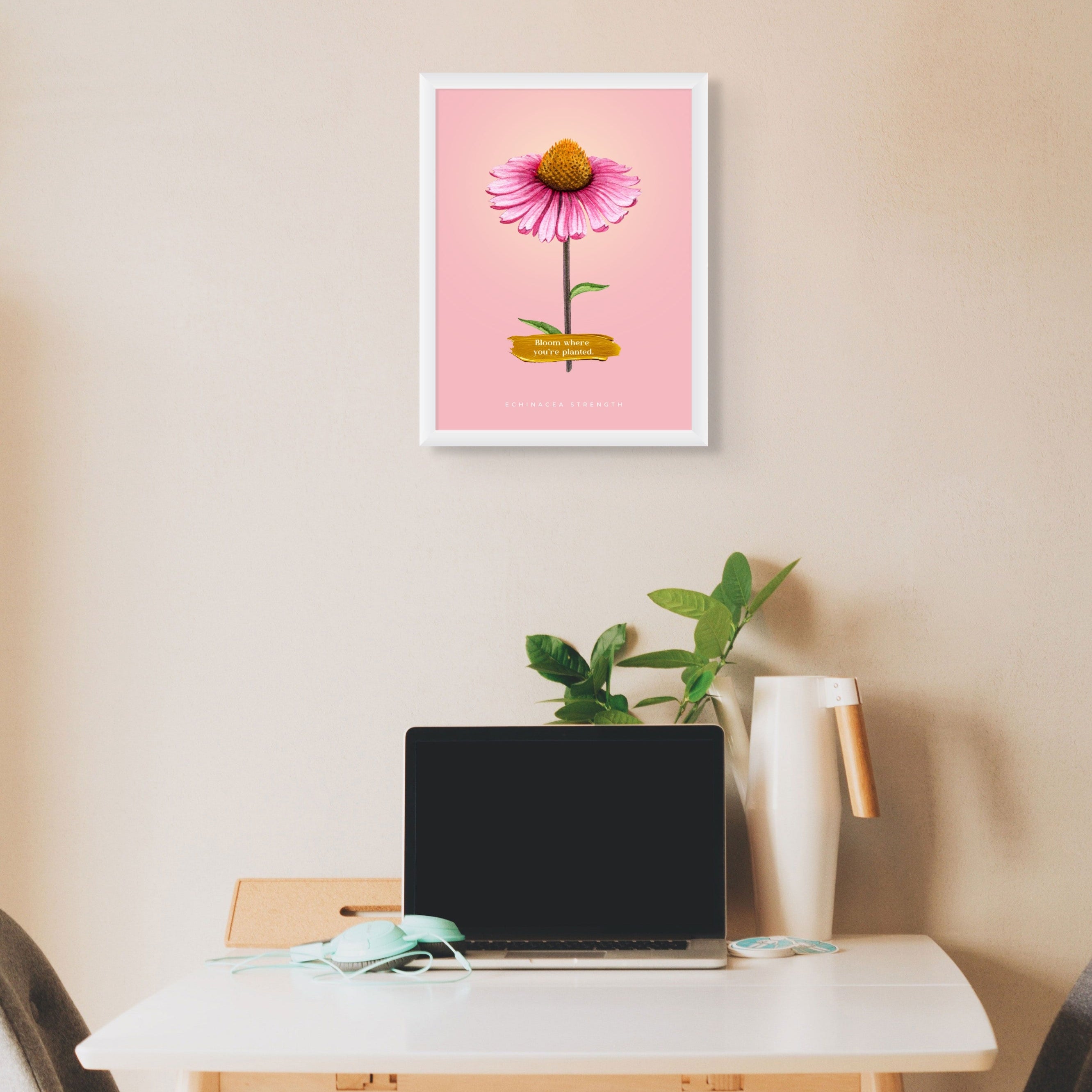 Echinacea Strength - 001