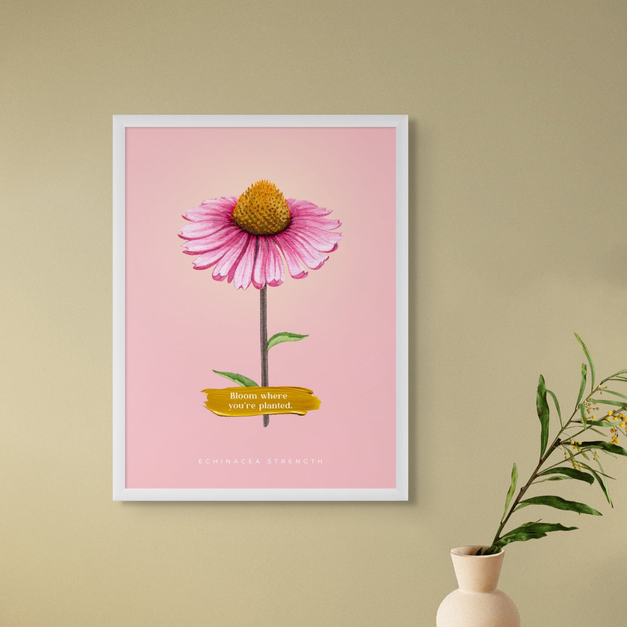 Echinacea Strength - 001