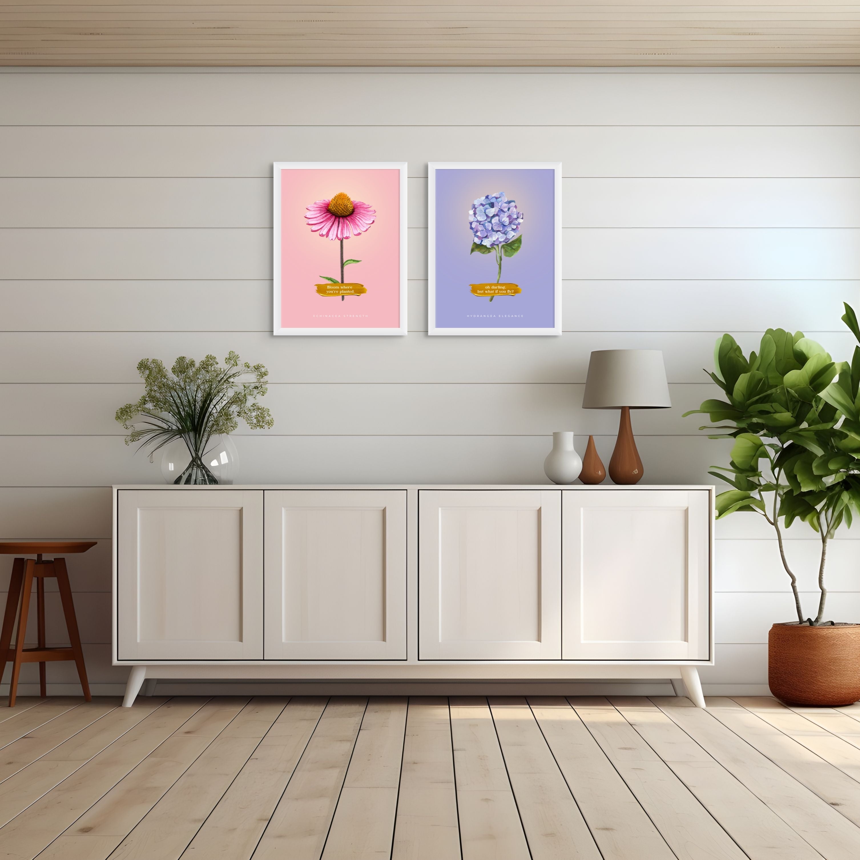 Hydrangea  Elegance - 003